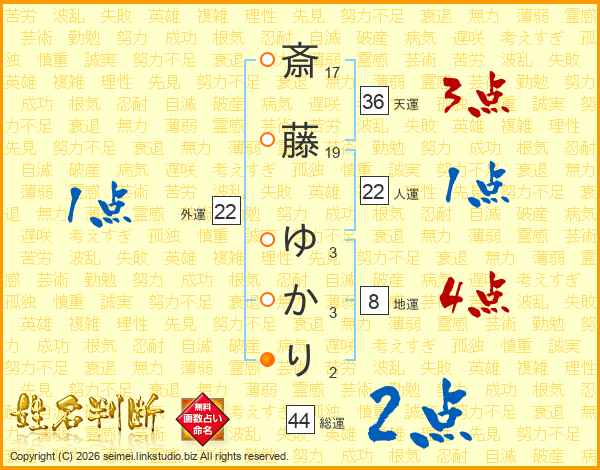 斎藤ゆかりさんの運勢 姓名判断 名前の画数から無料で