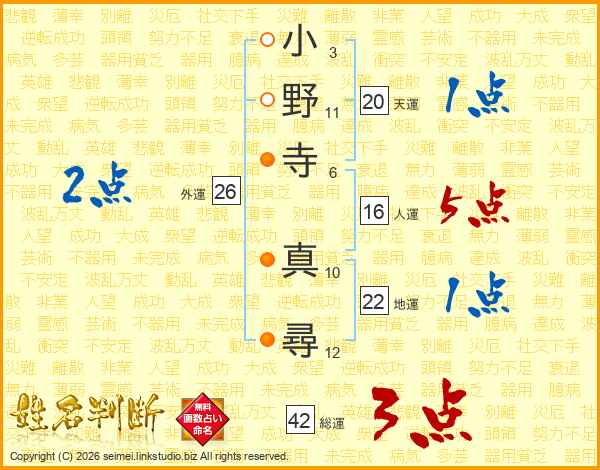 小野寺真尋さんの運勢 姓名判断 名前の画数から無料で