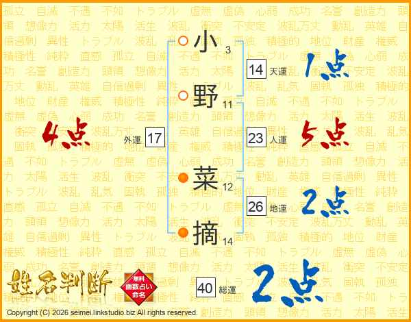 小野菜摘さんの運勢 姓名判断 名前の画数から無料で