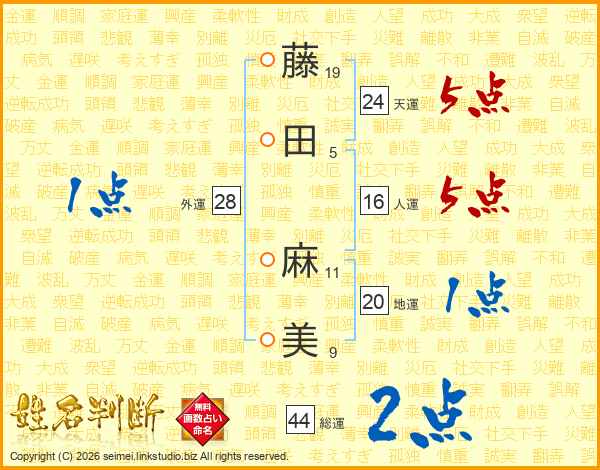 藤田麻美さんの運勢 姓名判断 名前の画数から無料で